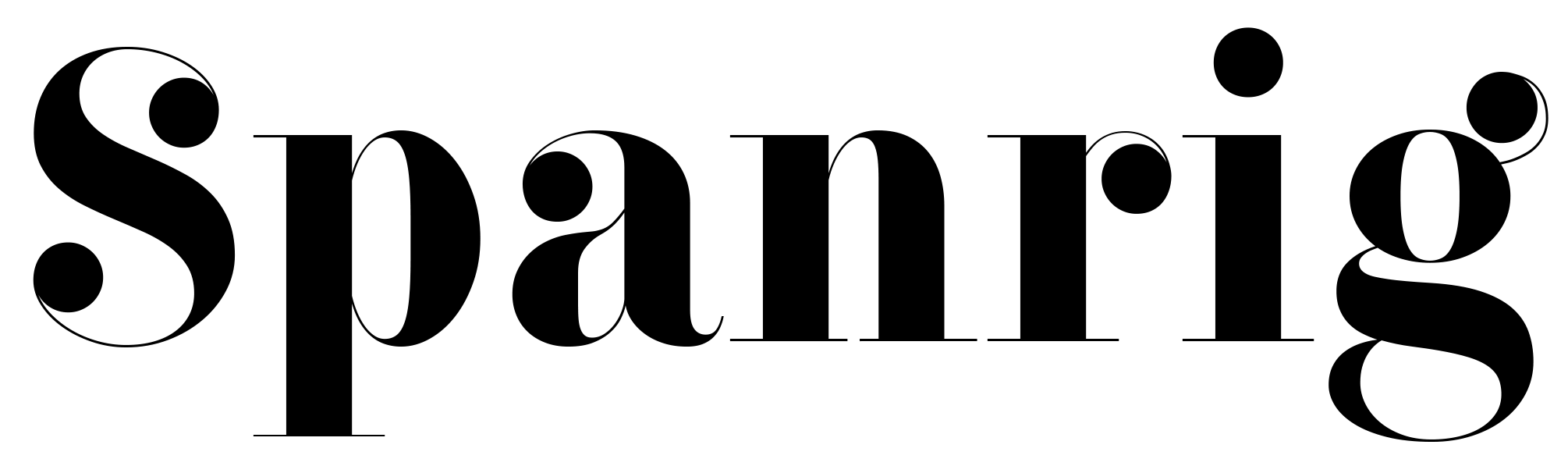 SPANRIG TECHNOLOGIES LLP